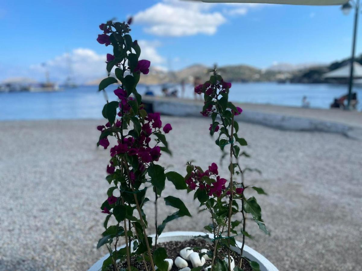 Ονειρόπετρα Λέρος~Oneiropetra Leros Apartment Panteli Luaran gambar